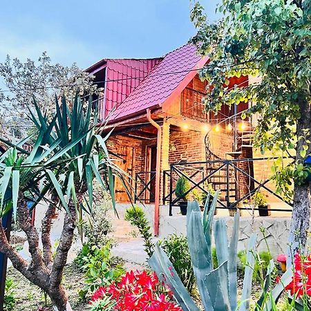 Vila Sunshine House Kutaisi Exteriér fotografie