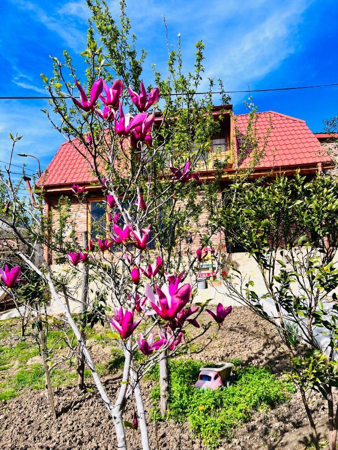 Vila Sunshine House Kutaisi Exteriér fotografie