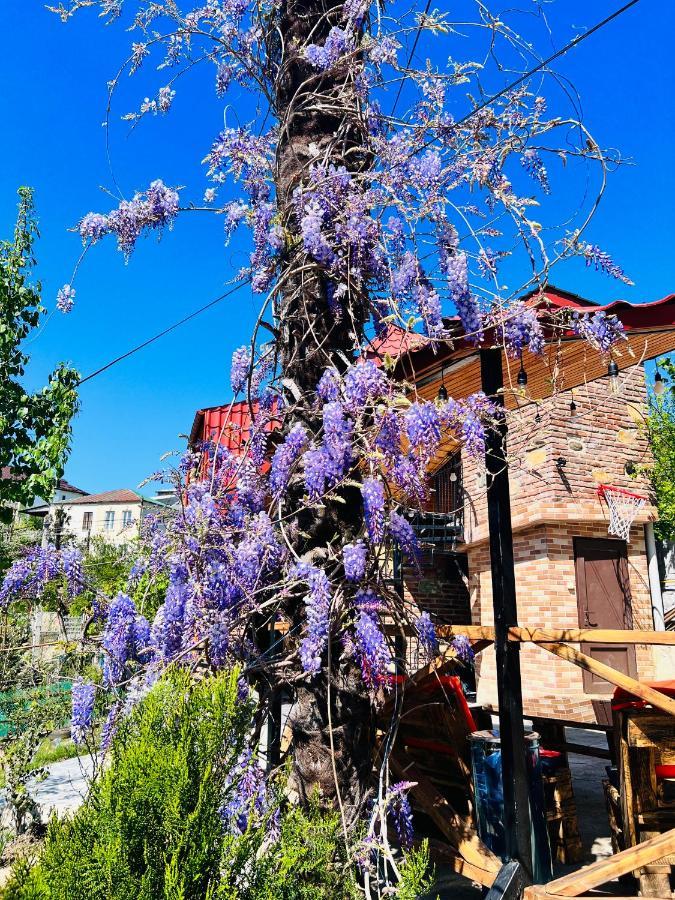 Vila Sunshine House Kutaisi Exteriér fotografie
