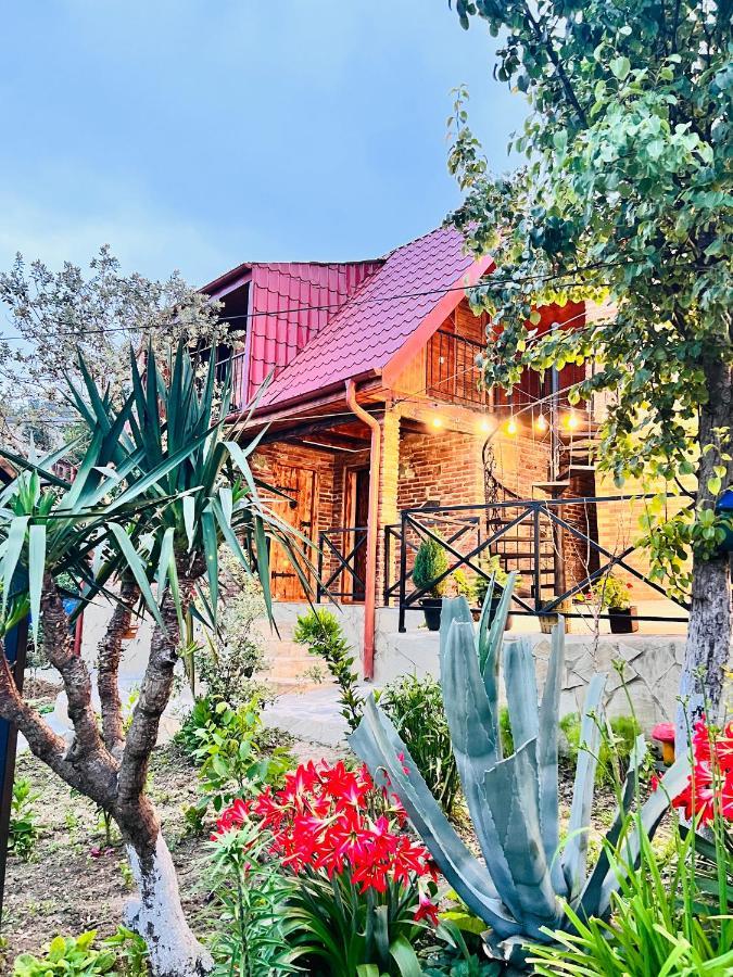 Vila Sunshine House Kutaisi Exteriér fotografie