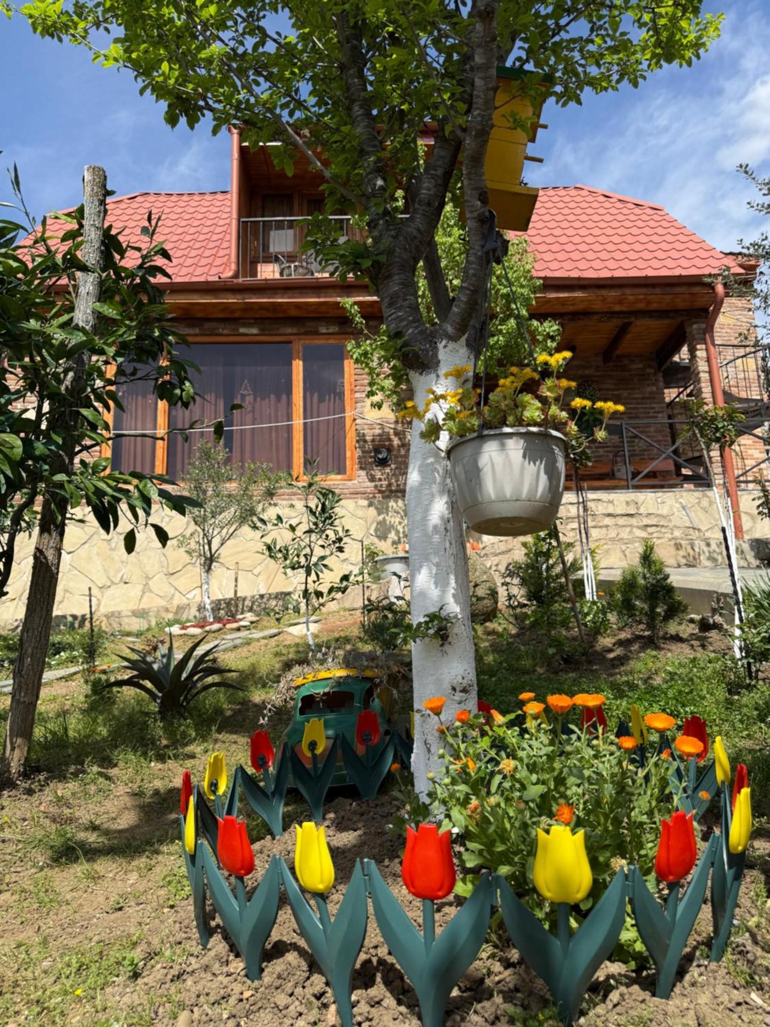 Vila Sunshine House Kutaisi Exteriér fotografie
